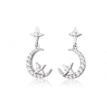 New 925 Silver Ear Studs for Women's Long and Low Profile Design, High Grade, Light Luxury Earrings, Temperament Earrings