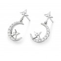 New 925 Silver Ear Studs for Women's Long and Low Profile Design, High Grade, Light Luxury Earrings, Temperament Earrings