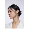 New 925 Silver Ear Studs for Women's Long and Low Profile Design, High Grade, Light Luxury Earrings, Temperament Earrings