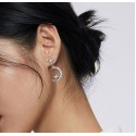 New 925 Silver Ear Studs for Women's Long and Low Profile Design, High Grade, Light Luxury Earrings, Temperament Earrings
